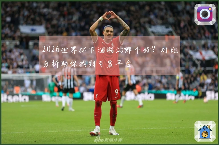 2026世界杯下注网站哪个好？对比分析助你找到可靠平台