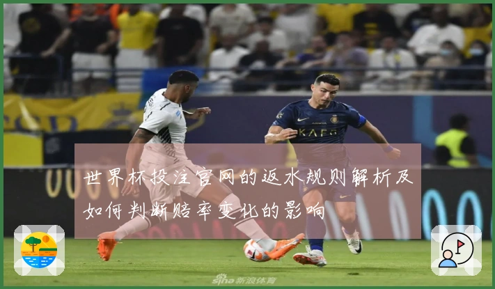 世界杯投注官网的返水规则解析及如何判断赔率变化的影响