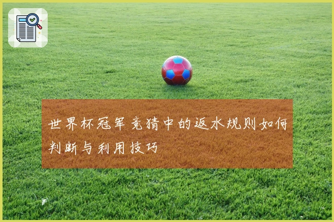 世界杯冠军竞猜中的返水规则如何判断与利用技巧